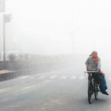Fog