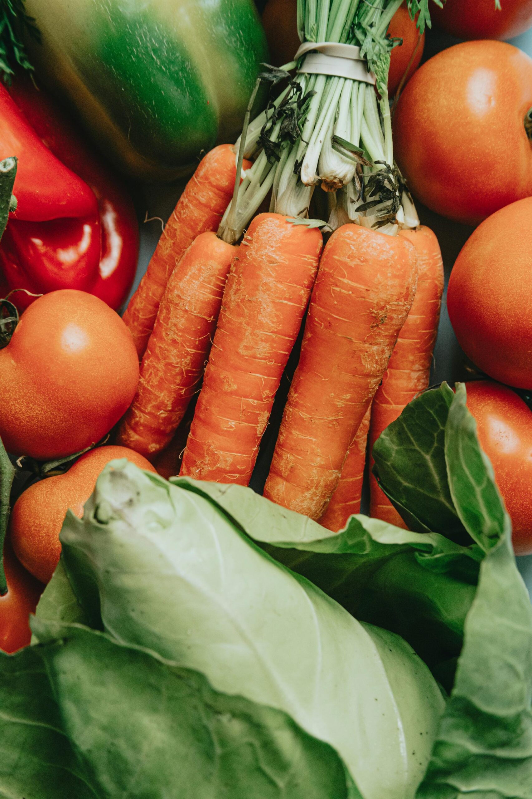 Organic Farming 