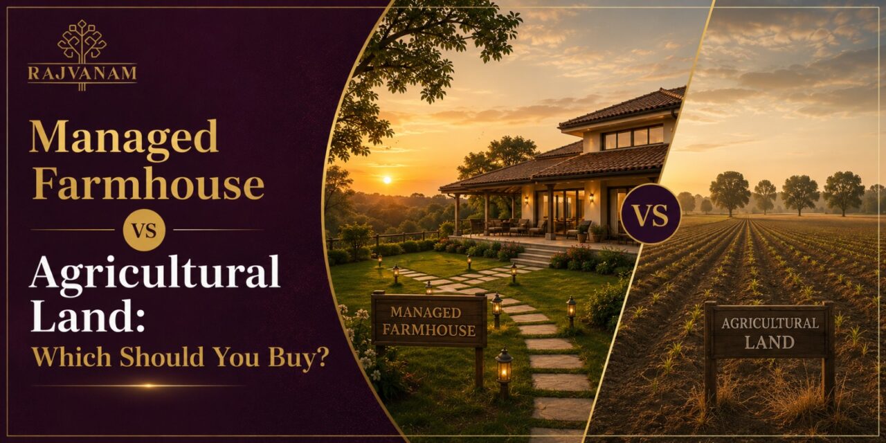 Managed farmhouse vs agricultural land in Rajasthan, comparing property investment and lifestyle benefits